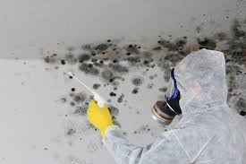 Best Residential Mold Inspection & Testing in Springfield, TN